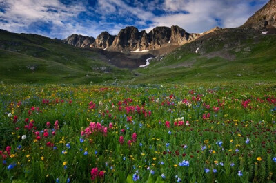 高山花海