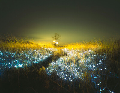 Starry Night Installations in Nature by Lee Eunyeol