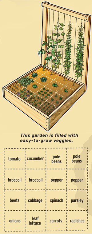 一种蔬菜种植床（raised bed）的培植方案