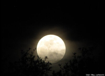 supermoon from tampa florida