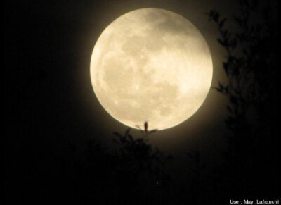 SUPERMOON FROM TAMPA FL TOWN N COUNTRY