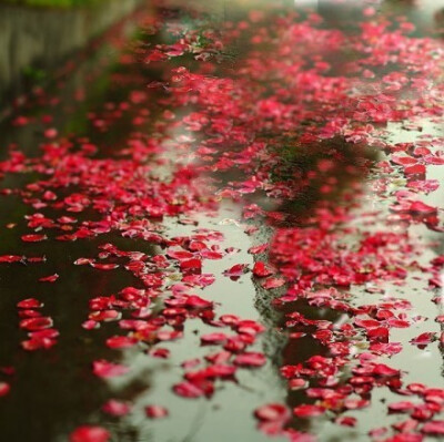 花自飘零水自流，一种相思，两处闲愁。