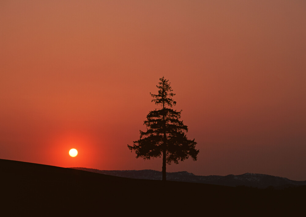 唯美的夕阳