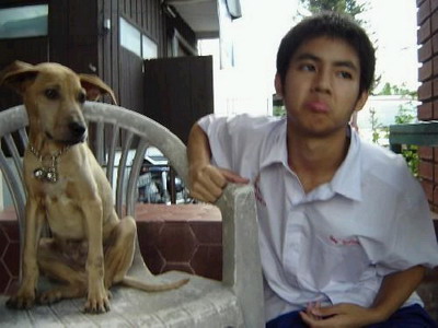 吃狗狗醋的小P，因为妈妈爱狗狗更多，哈哈~~