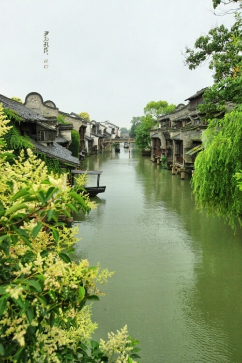 乌镇。青山绿水浩然归，美景面前人人醉。