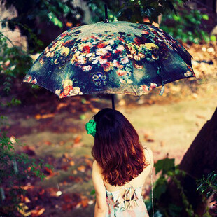 有种梦境的感觉。油画伞 撑起一个花园。