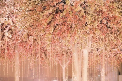 pink trees