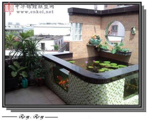 广州楼顶鱼池设计5