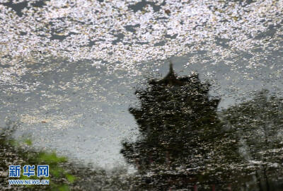 江苏省无锡市太湖鼋头渚风景区，?；ò耆髀浜?，与周围景观在湖中的倒影相映成趣