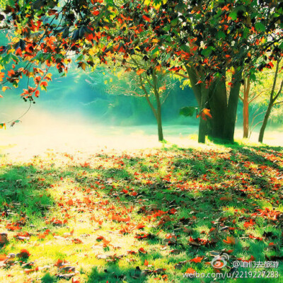 如果你为错过夕阳而哭泣，那么你就要错过群星了。