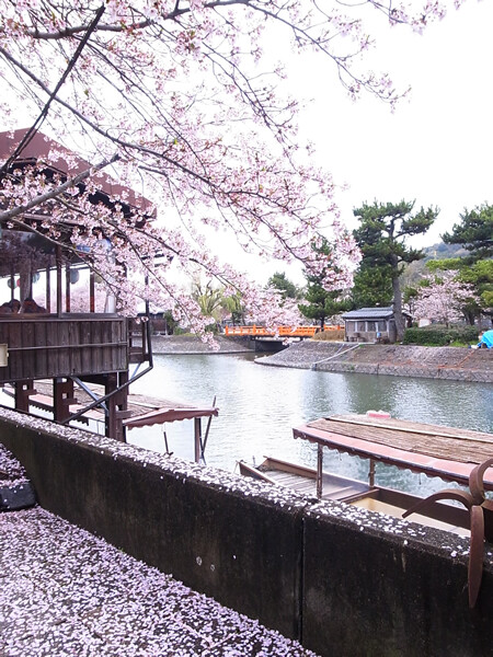 宇治川