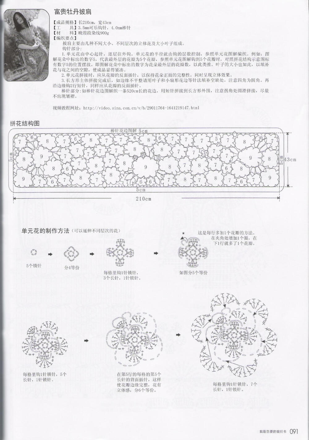 王晶辉