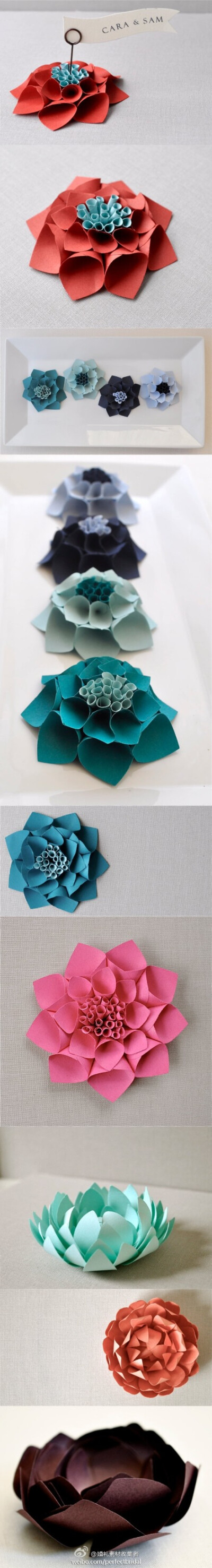 多样的立体纸花，怎么用都不错 (共9张图片, 大图请点链接:http://t.cn/zO8Wm0q )