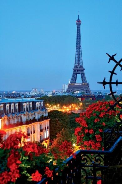 Balcony garden in Paris 在巴黎的花园阳台