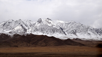 雪山牧场