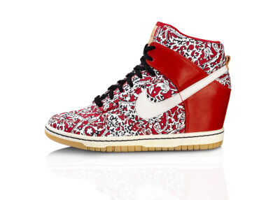 Nike Dunk High~