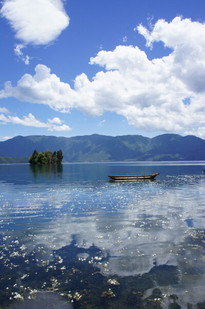 风景