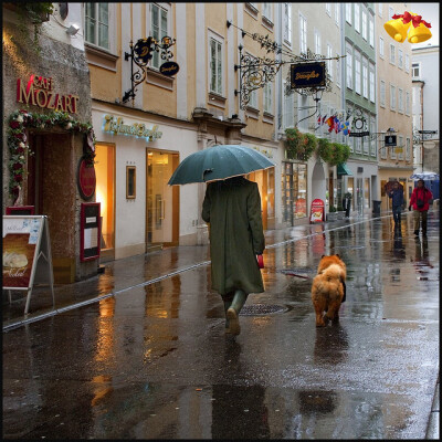 萨尔茨堡 雨靴 雨伞 带着他她它上街吧