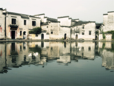 《卧虎藏龙》中蜻蜓点水一景，安徽宏村~