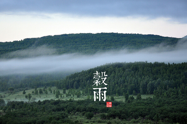 谷雨：萍始生、鸣鸠拂其羽、戴胜降于桑