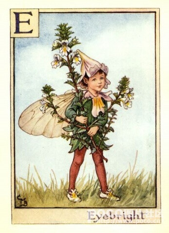 Cicely Mary Barker