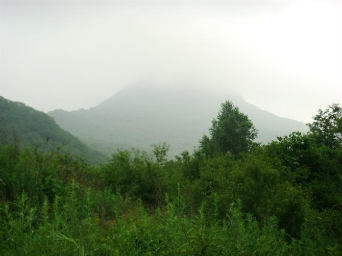 {哈尔滨帽儿山}雾中帽儿山，好像富士山。