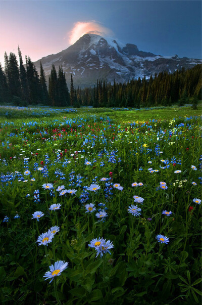 天堂彼岸的风景
