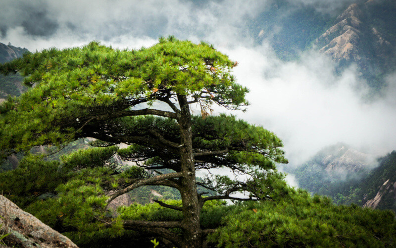 黄山归来不看岳