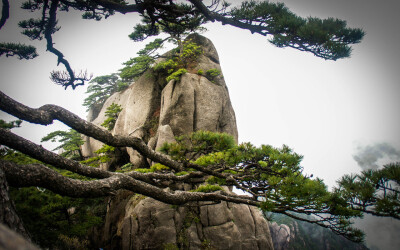 黄山归来不看岳