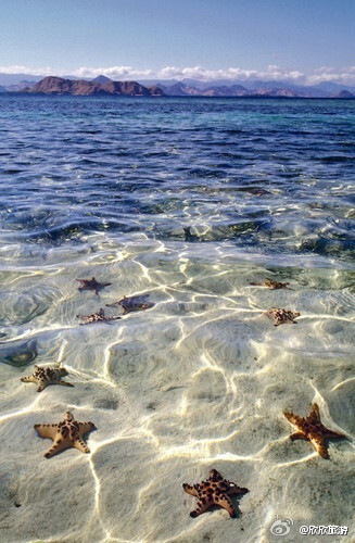 繁星满海.......真美！想跳进这透明的海水中么？