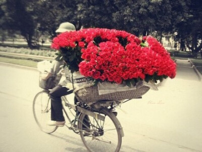 送花的路，缓缓骑。