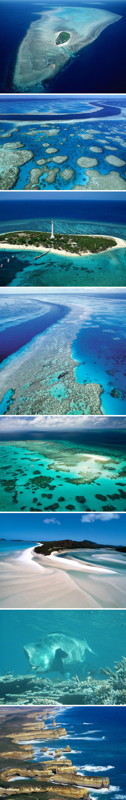 Great Barrier Reef是世界最大最长珊瑚礁群。落潮时部分珊瑚礁露出水面形成珊瑚岛。大堡礁由数十亿只微小珊瑚虫建构成，是生物建造最大物体，从外太空也能看到。1981年被列入世界自然遗产名录，被CNN选为世界七大自然奇观