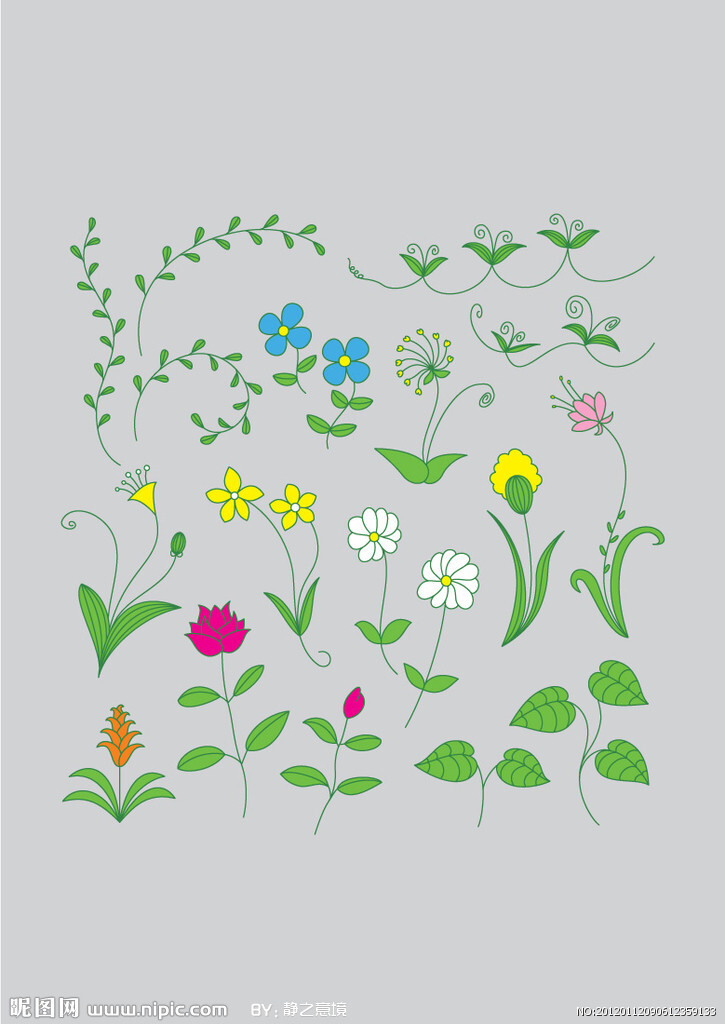 树叶 花草 边纹
