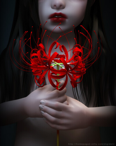 mariko adachi的3D作品，主页：http://homepage2.nifty.com/digidoll/