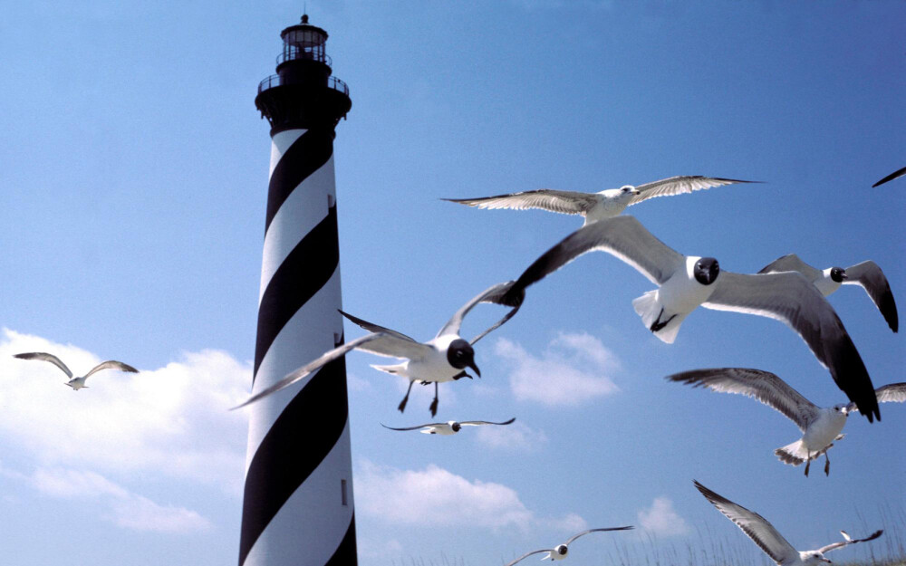 To the Lighthouse