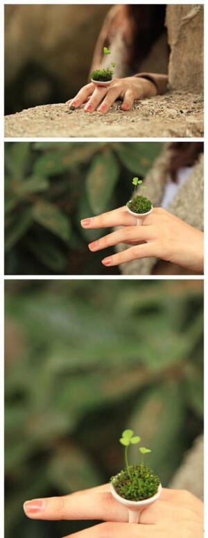 好萌的绿植戒指，你想拥有一个么？