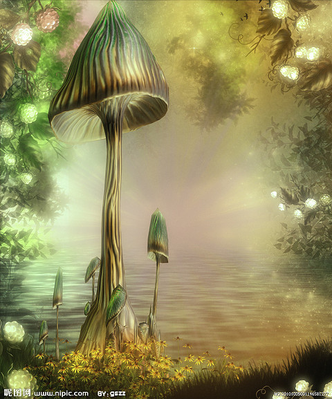 就爱蘑菇......蘑菇小家