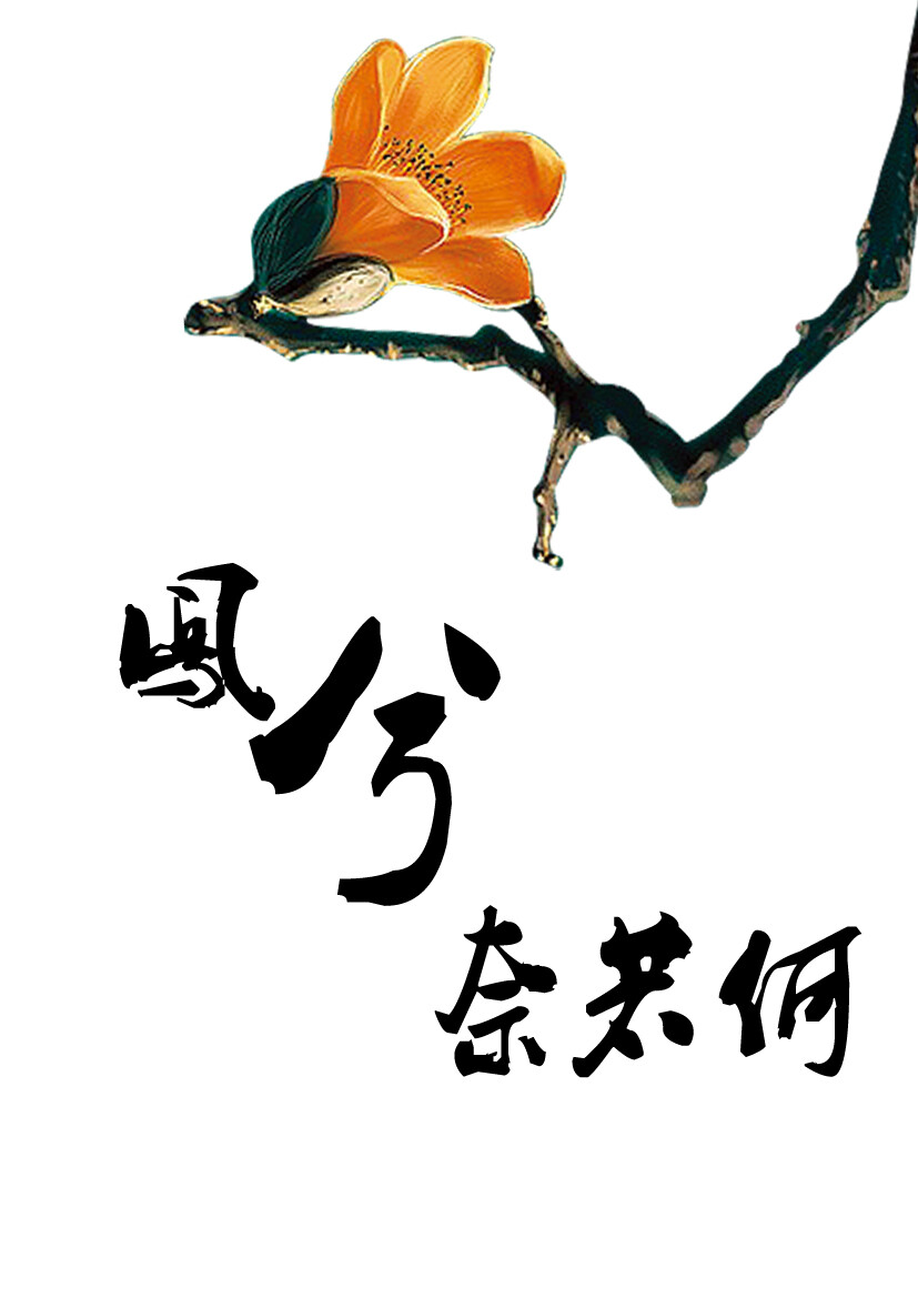 凤兮奈若何 描写慕容冲的小说，五胡十六华，倾城倾国第一人的爱恨情仇，他是出水的白莲，却被生生折断，于飞的凤凰一朝化为铁血的帝皇，此中多少无奈，多少愁