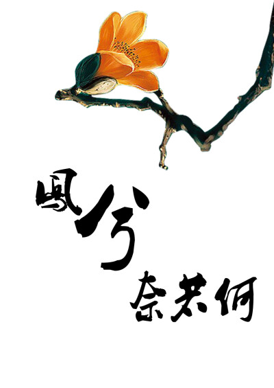 凤兮奈若何 描写慕容冲的小说，五胡十六华，倾城倾国第一人的爱恨情仇，他是出水的白莲，却被生生折断，于飞的凤凰一朝化为铁血的帝皇，此中多少无奈，多少愁