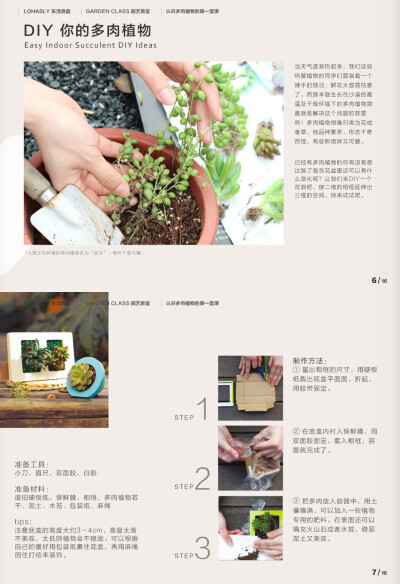 DIY多肉植物花器