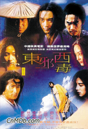 《东邪西毒》是一部1994年出品的王家卫导演的经典武侠电影，这部影片改编自金庸小说《射雕英雄传》，讲述了六个复杂人物的情感纠缠，被认为是香港艺术电影历史上的大型制作之一。《东邪西毒》是一部颠覆传统武侠片格局，借古讽今，气势磅礴的史诗电影，不论是张国荣饰演的西毒欧阳峰、张曼玉饰演的欧阳峰之嫂、还是梁家辉饰演的东邪黄药师都令人印象深刻。经过修复和重新剪辑的《东邪西毒》终极版本于2008年戛纳影展上映。网络游戏《东邪西毒》是蓝港在线推出的一款意识流派的写真动作武侠网游大作。