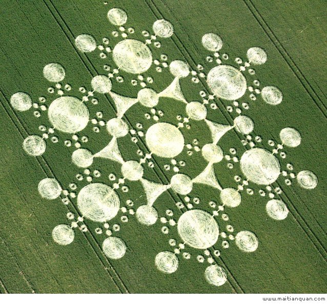 麦田怪圈（Crop circle）