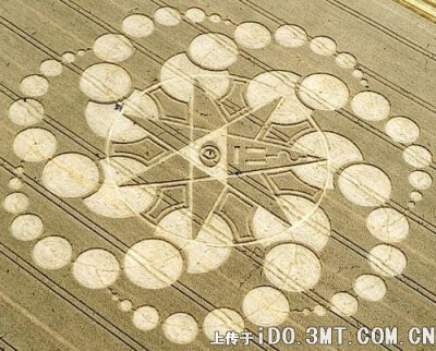 麦田怪圈（Crop circle）