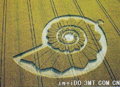 麦田怪圈（Crop circle）