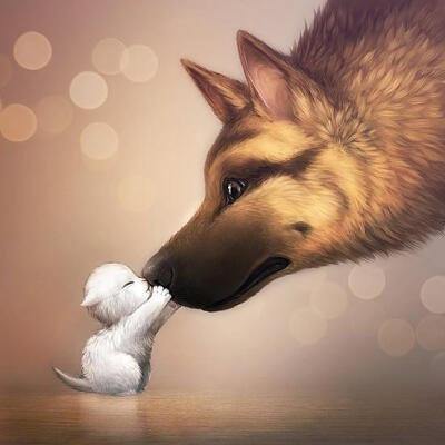 偶和偶的麻麻---【来自宠物社区扑扑网www.poopur.com】