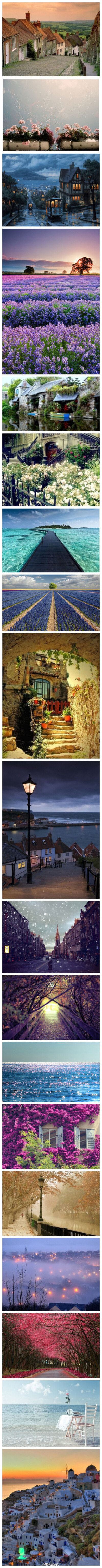 哇哇~~好美啊 都想去