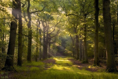 荷兰摄影师Lars Van De Goor2