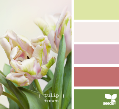 tulip tones