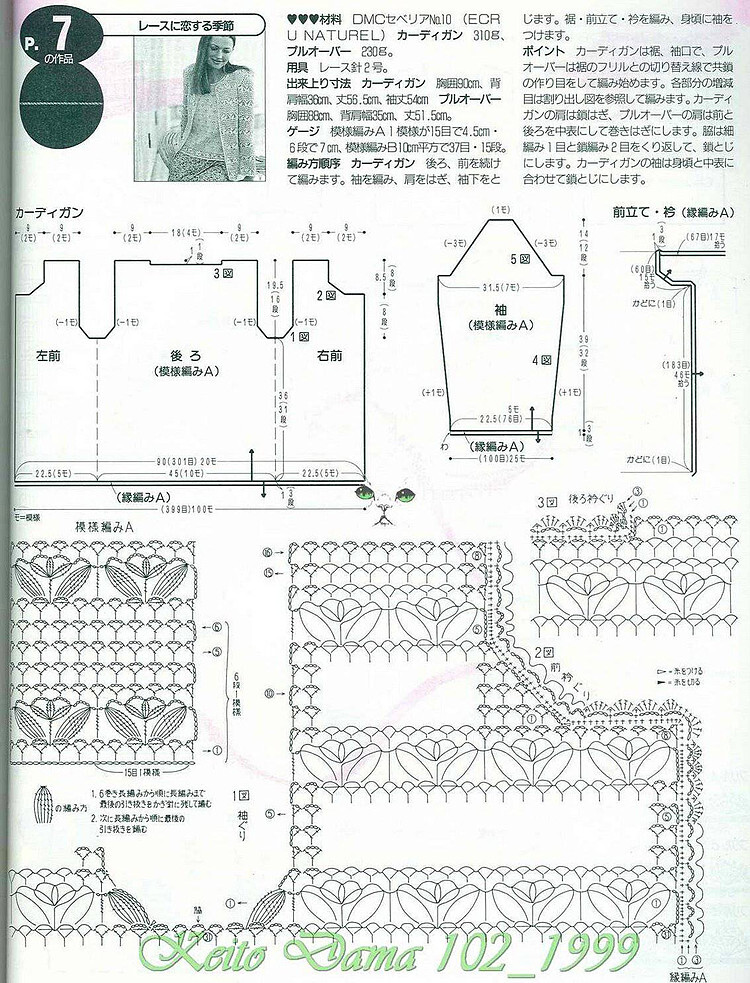 白色郁金香 - 非编鱼 - 非编鱼的博客