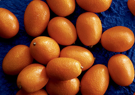 kumquats 金桔